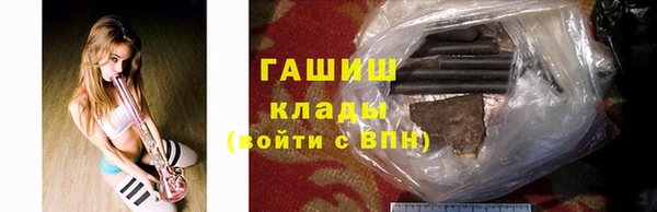 ешки Новодвинск