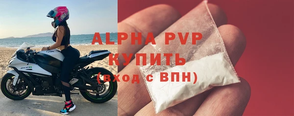 ешки Новодвинск