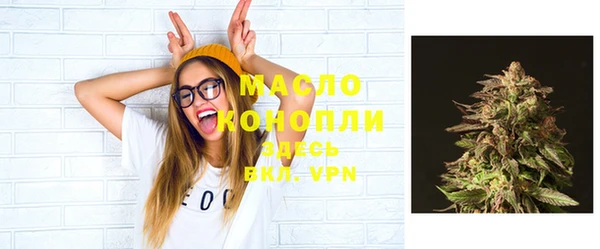 ешки Новодвинск