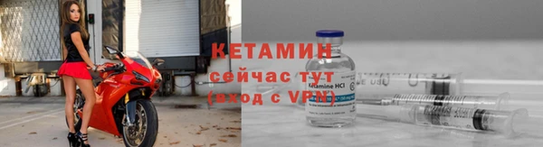 ешки Новодвинск