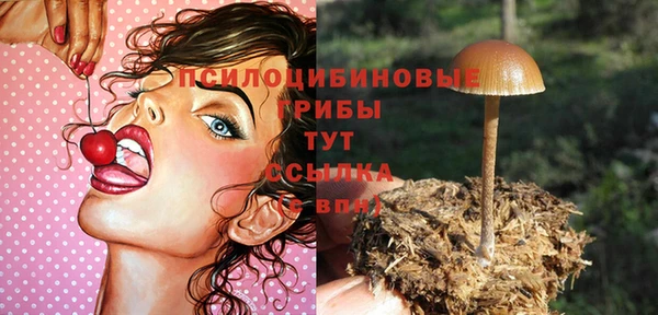 ГАЛЛЮЦИНОГЕННЫЕ ГРИБЫ Новокубанск