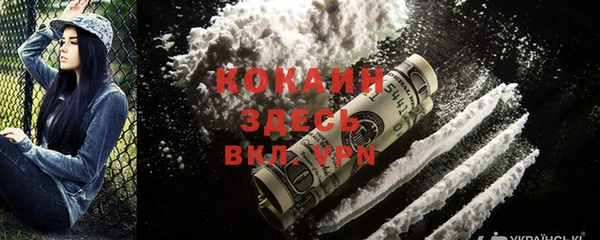 ешки Новодвинск