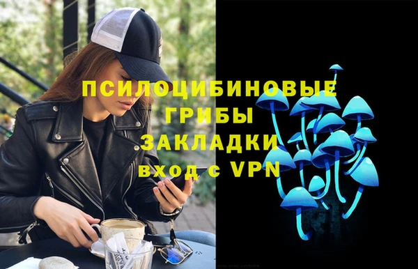 ешки Новодвинск