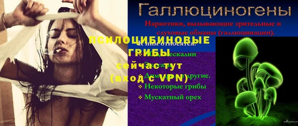 не бодяженный Новозыбков