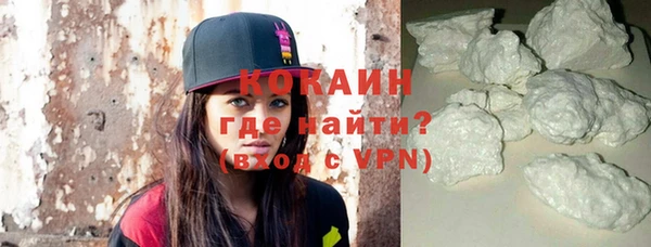 ешки Новодвинск